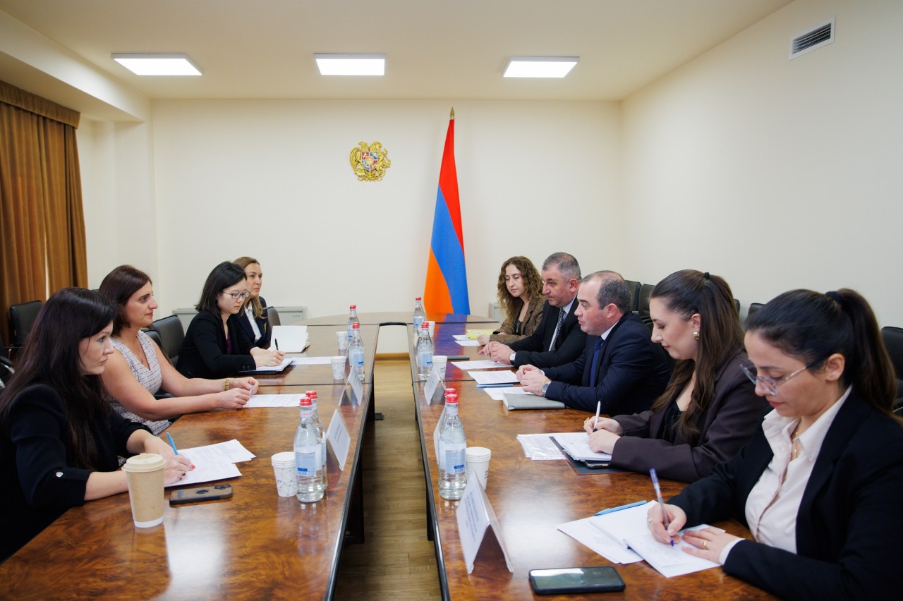 ԲՏԱ նախարարի տեղակալն ընդունել է Համաշխարհային բանկի պատվիրակությանը