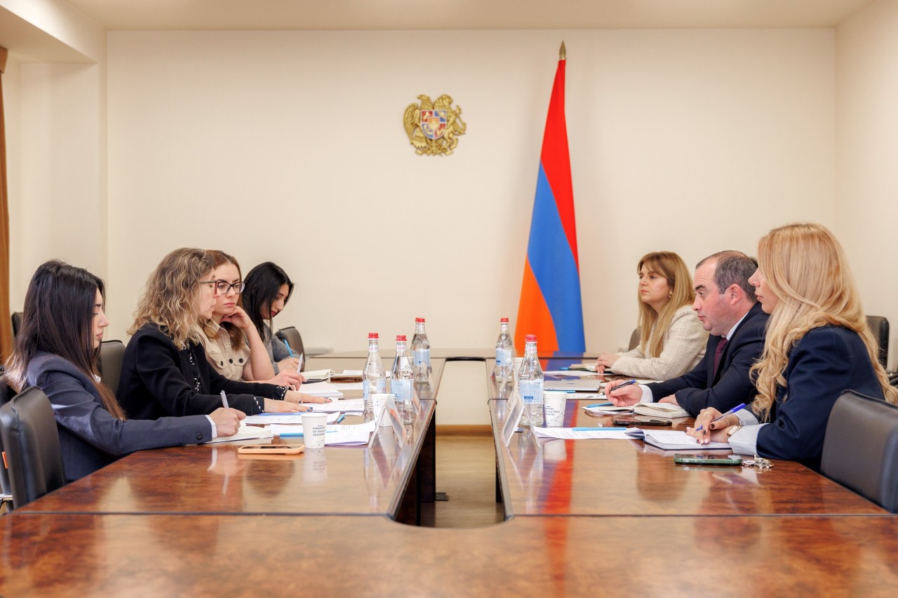 ԲՏԱ նախարարի տեղակալն ընդունել է CIPE-ի ներկայացուցիչներին. քննարկվել են համագործակցության նոր ձևաչափեր