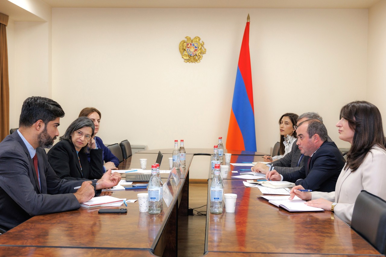 Նախարարի տեղակալն ընդունել է ՀԲ պատվիրակությանը. քննարկվել են համագործակցության ընդլայնման հնարավորությունները